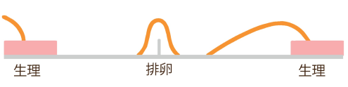 「A」に加えて排卵前後にも症状が見られる。